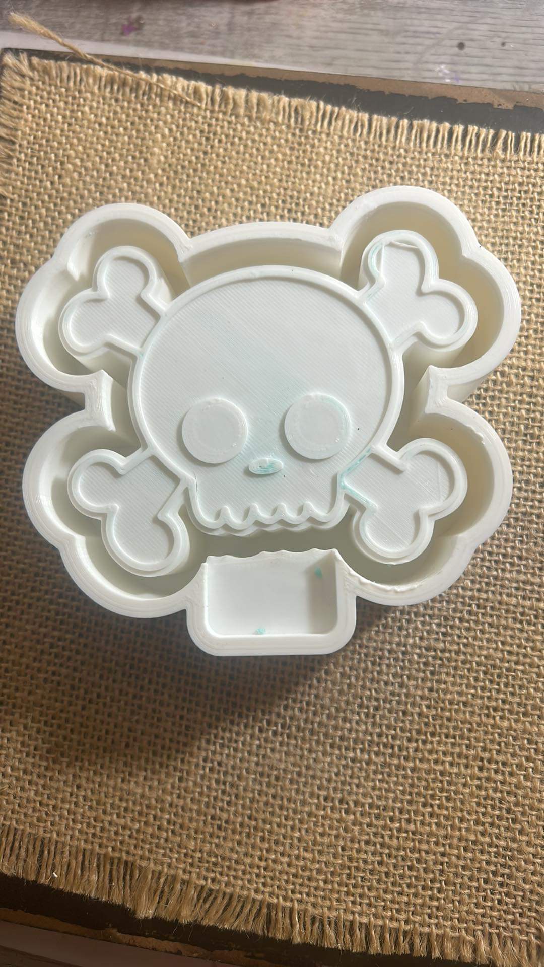 Skull and Bones Mold