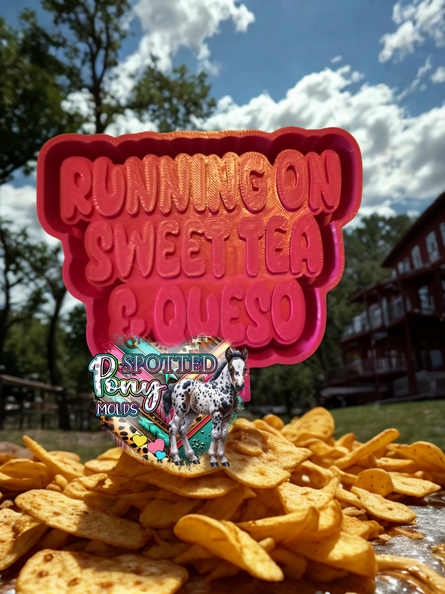 Running on Sweet Tea & Queso Mold