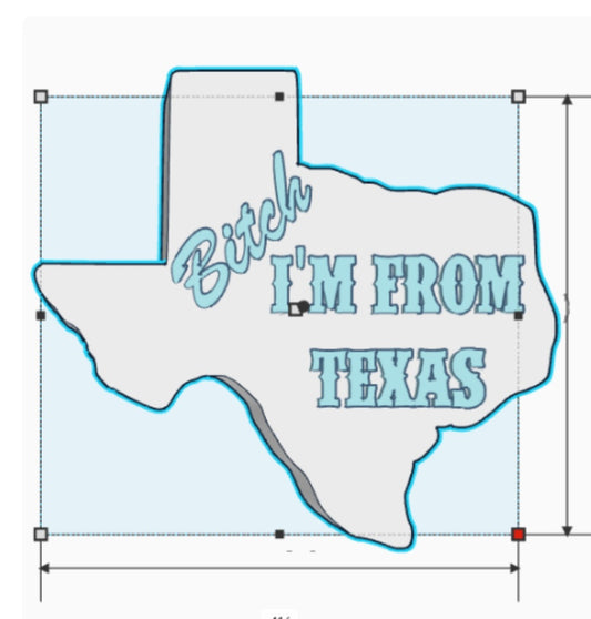 B*the I'm From Texas Mold